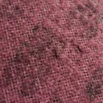 3M Scotch-Brite Maroon Medium Surface Conditioning Disc - 100mm x 16mm - 100 Each