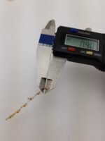 CIGWELD Male Plug 8 pin suit Cigweld machines CIG weld  UOA706900 - Image 5